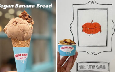 October 2025 Newsletter