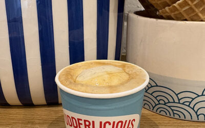 November 2025 Newsletter