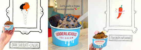 January 2026 Newsletter