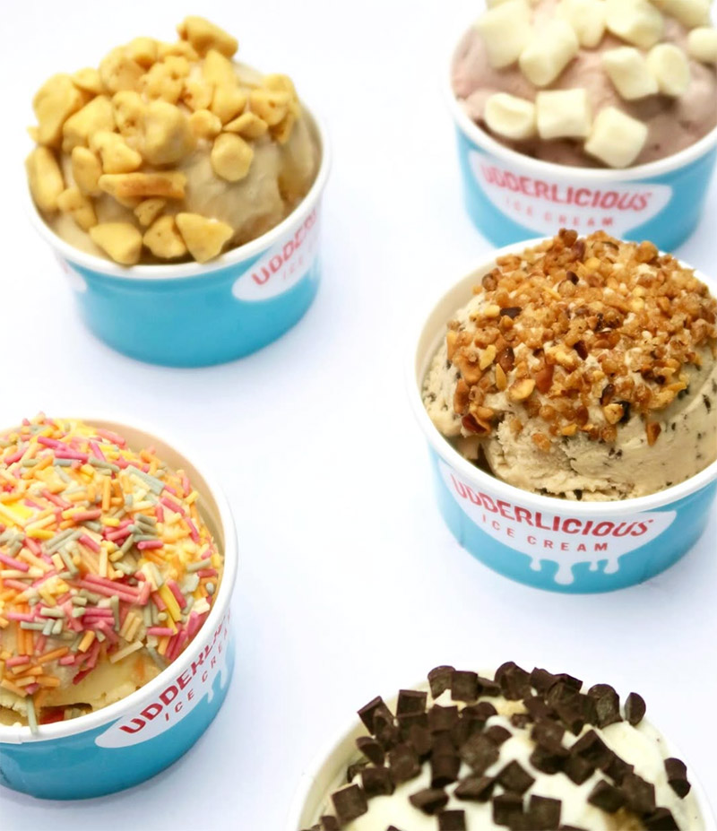 Udderlicious-art-science-3