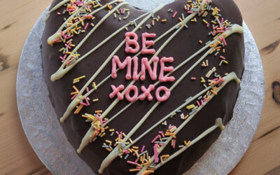 February 2026 Newsletter 1 of 2